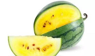 娱乐吃瓜素材哪里找啊,揭秘娱乐吃瓜素材的宝藏之地